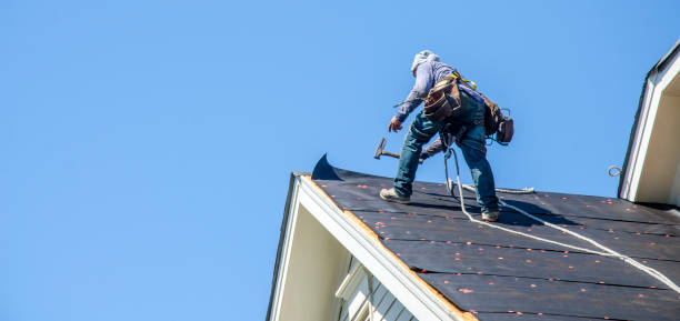 Best Roof Gutter Cleaning  in New Berlinville, PA